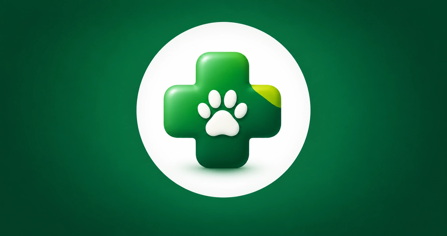 Carreira em Medicina Veterinária: como saber se é para você